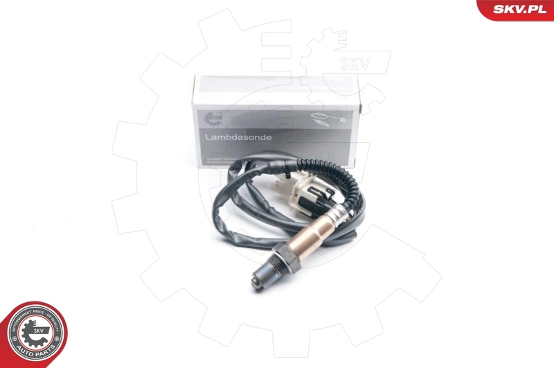 Oxygen Sensor